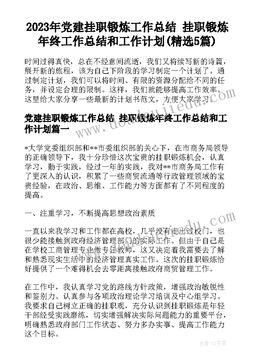 2023年党建挂职锻炼工作总结 挂职锻炼年终工作总结和工作计划(精选5篇)