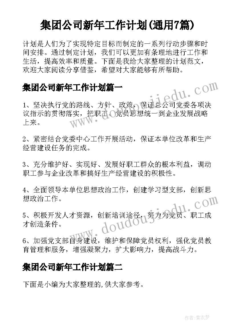 集团公司新年工作计划(通用7篇)