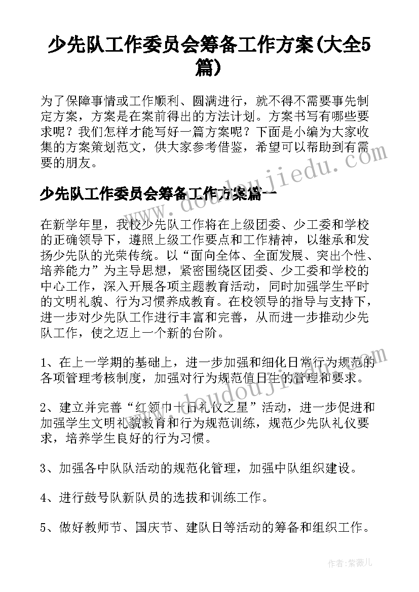 少先队工作委员会筹备工作方案(大全5篇)