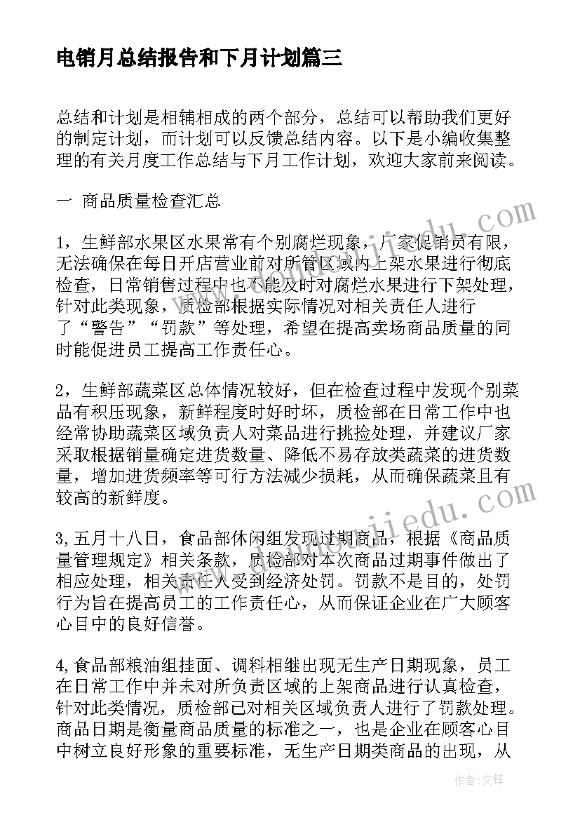 最新电销月总结报告和下月计划(优秀10篇)