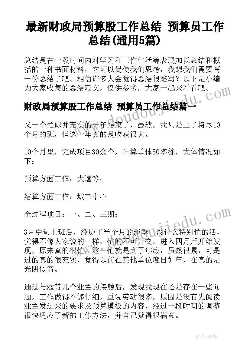 最新财政局预算股工作总结 预算员工作总结(通用5篇)