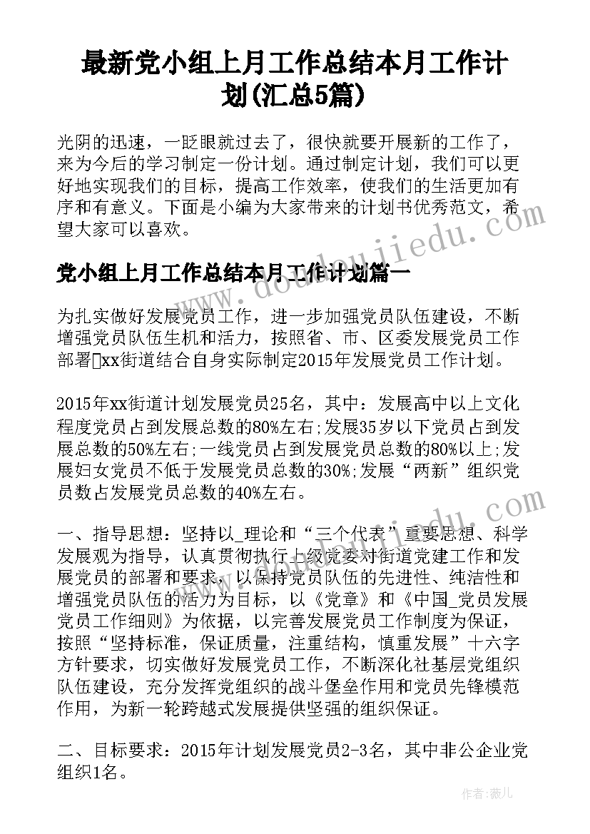 最新党小组上月工作总结本月工作计划(汇总5篇)