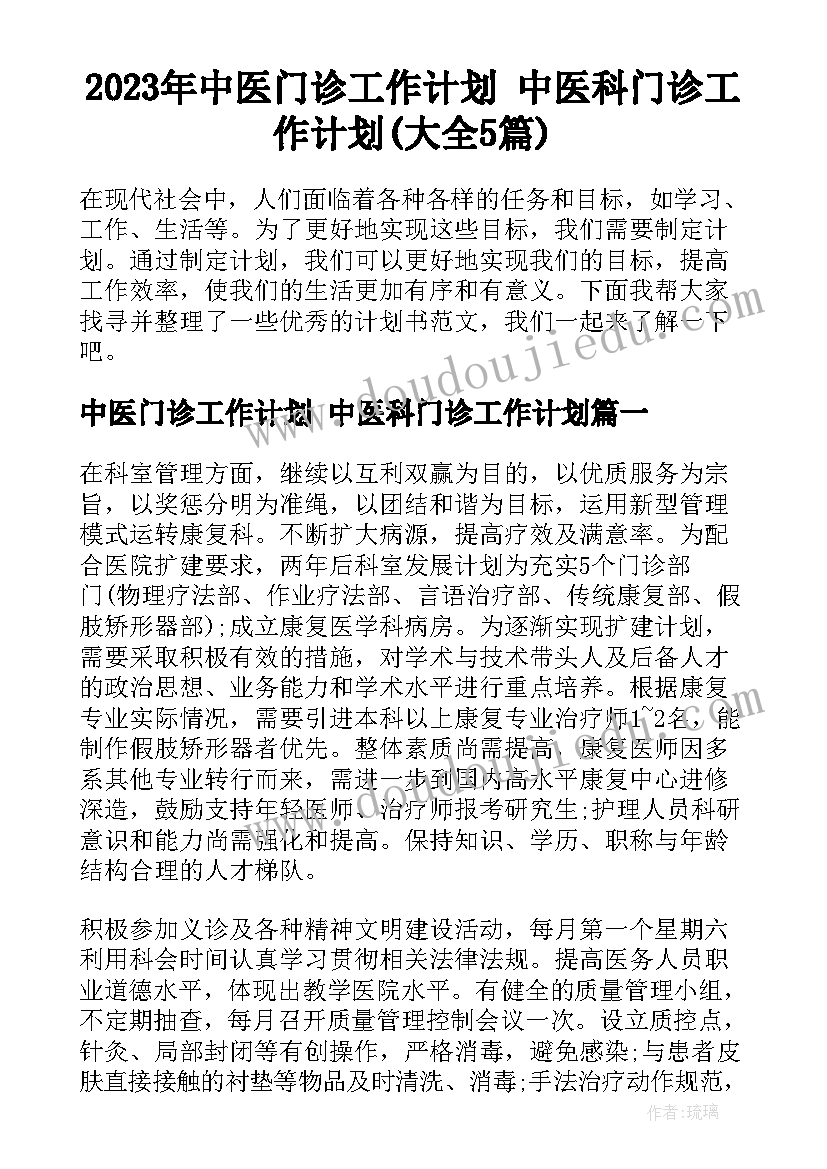 2023年中医门诊工作计划 中医科门诊工作计划(大全5篇)