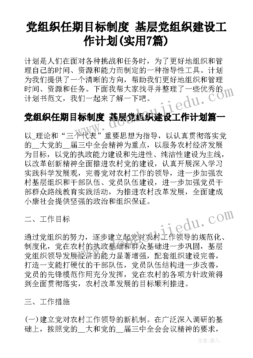 党组织任期目标制度 基层党组织建设工作计划(实用7篇)