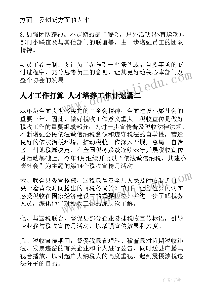 2023年人才工作打算 人才培养工作计划(优质8篇)