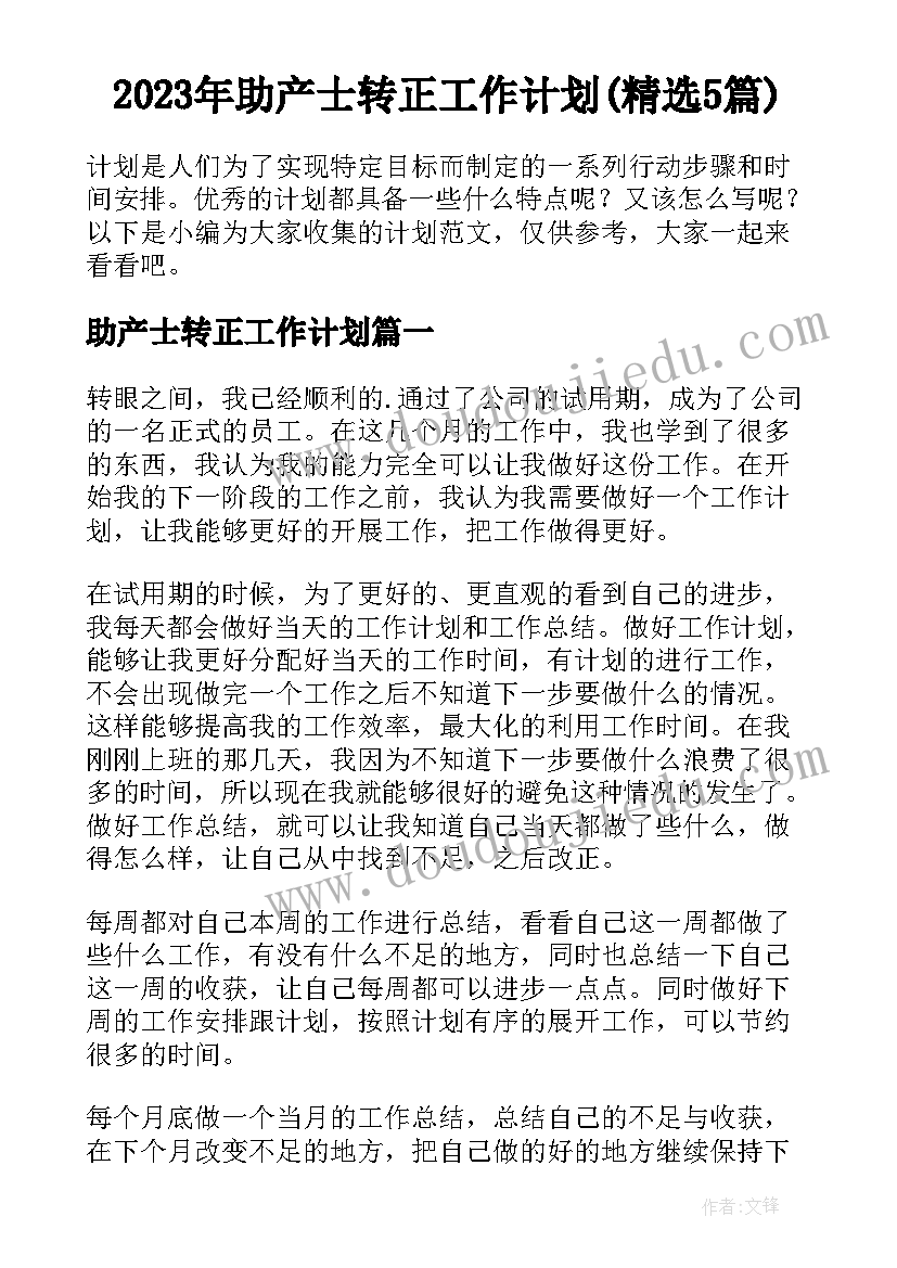 2023年助产士转正工作计划(精选5篇)