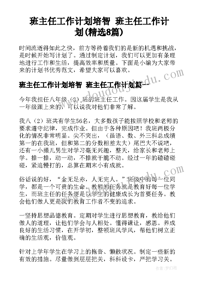 班主任工作计划培智 班主任工作计划(精选8篇)