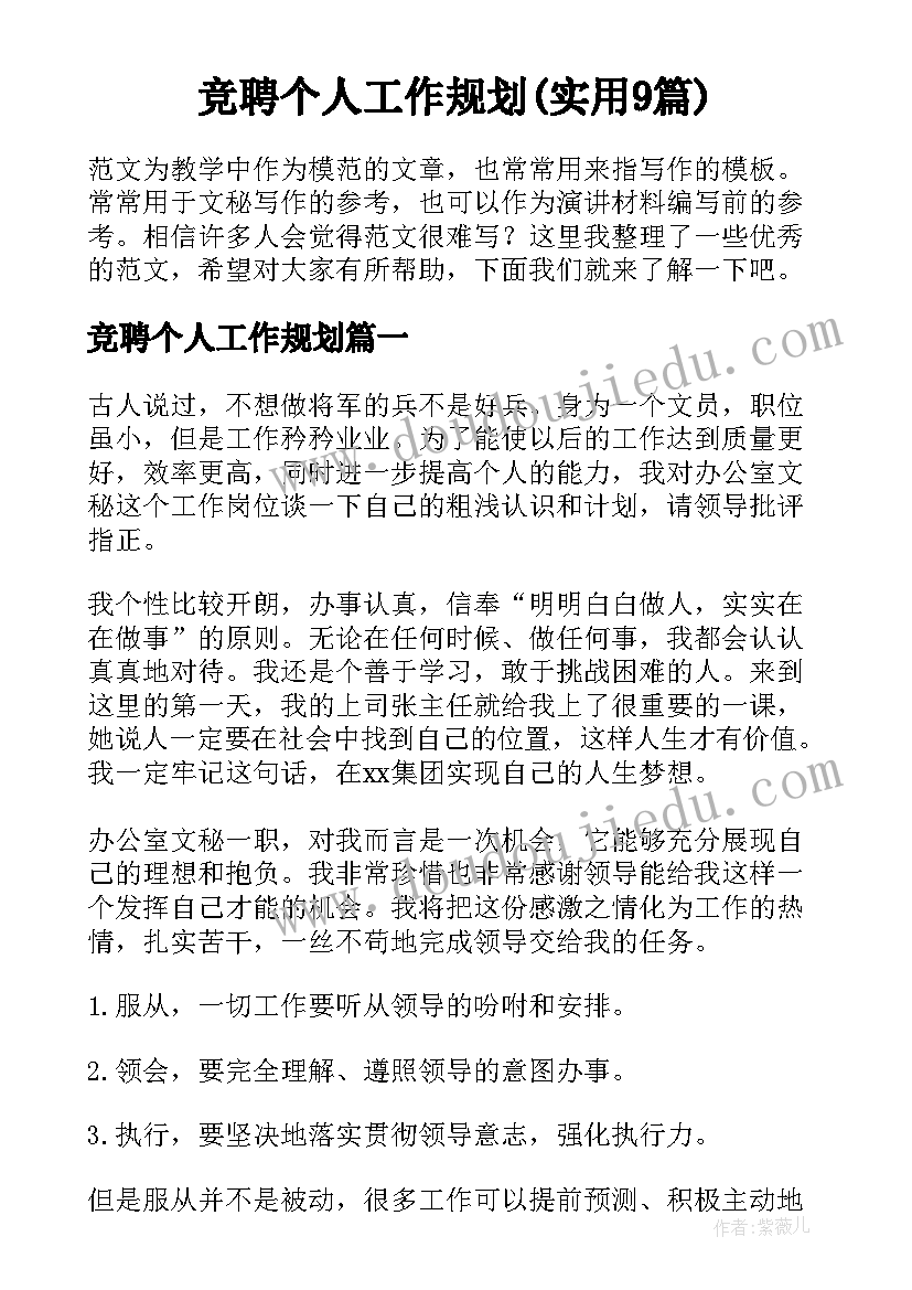 竞聘个人工作规划(实用9篇)