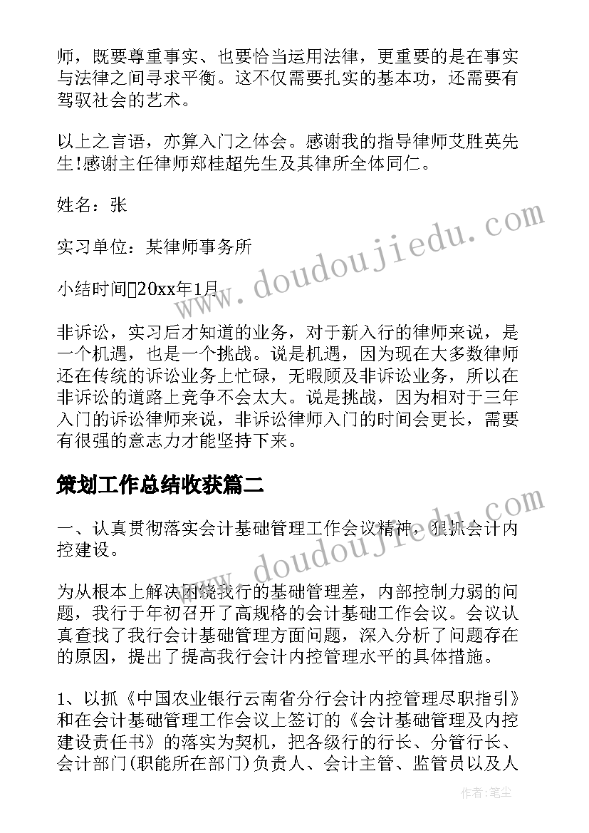 最新策划工作总结收获(实用8篇)