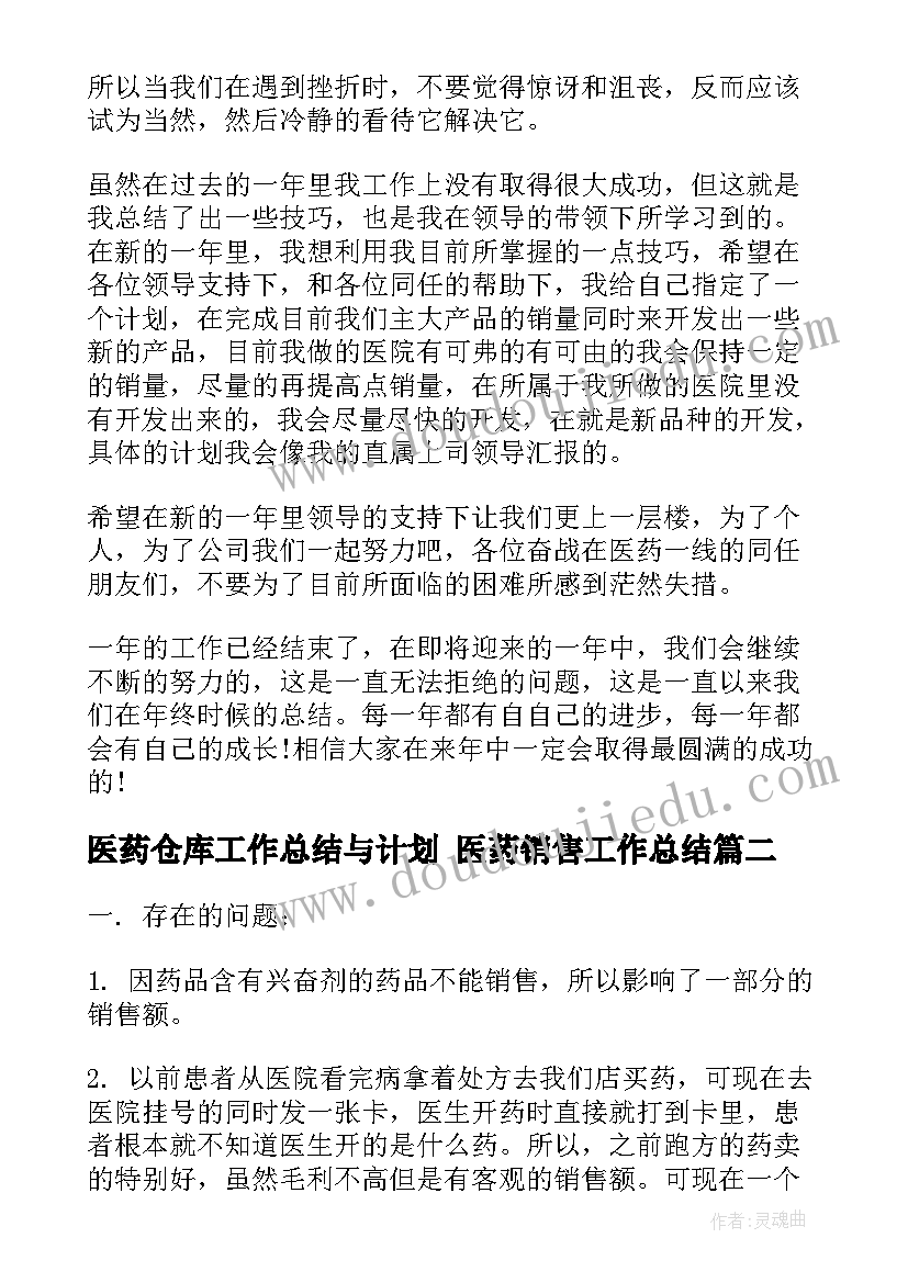 医药仓库工作总结与计划 医药销售工作总结(大全6篇)