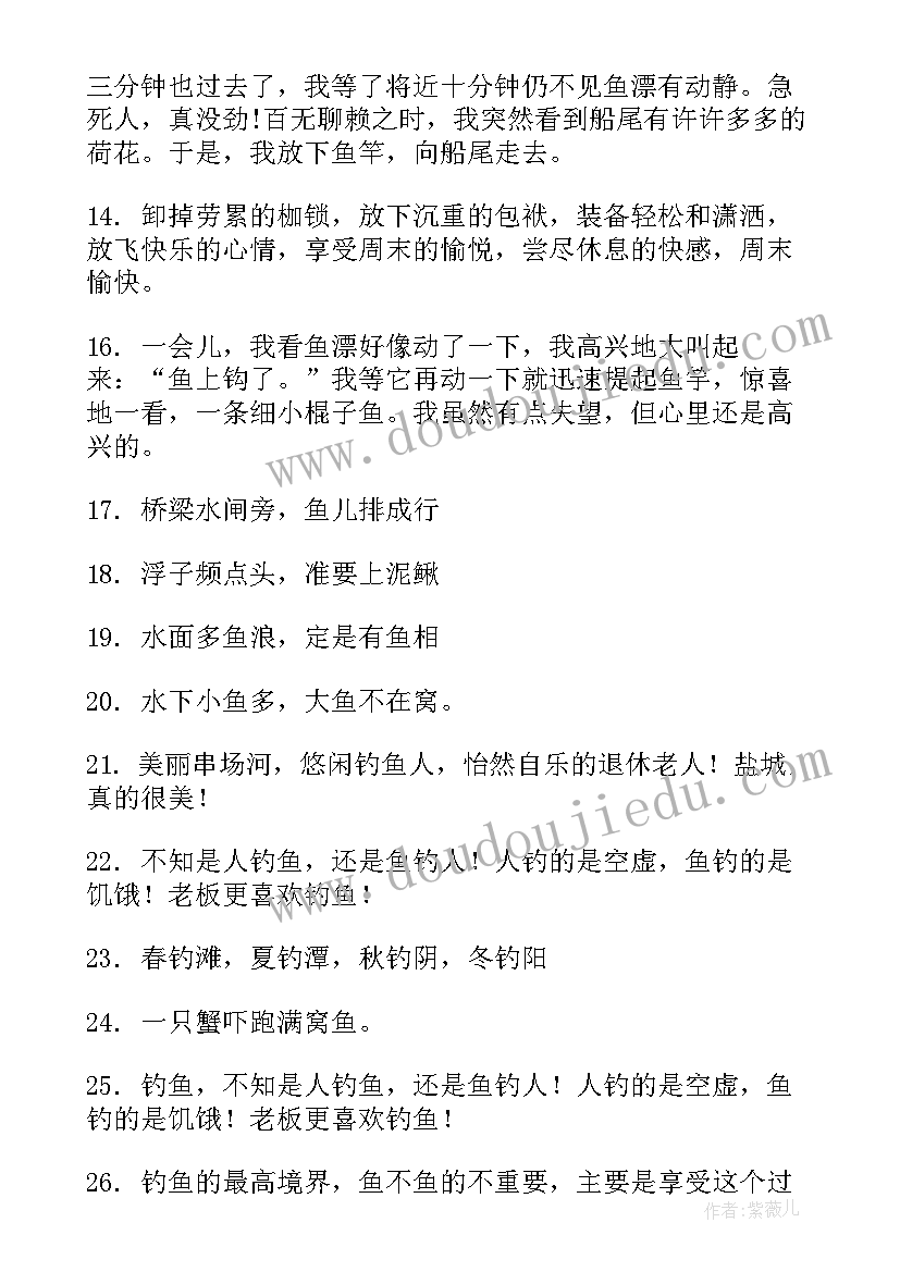 最新钓鱼个人工作总结 个人工作总结个人工作总结(通用9篇)