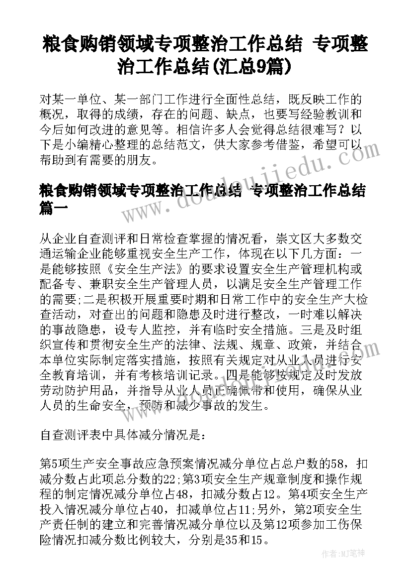 粮食购销领域专项整治工作总结 专项整治工作总结(汇总9篇)