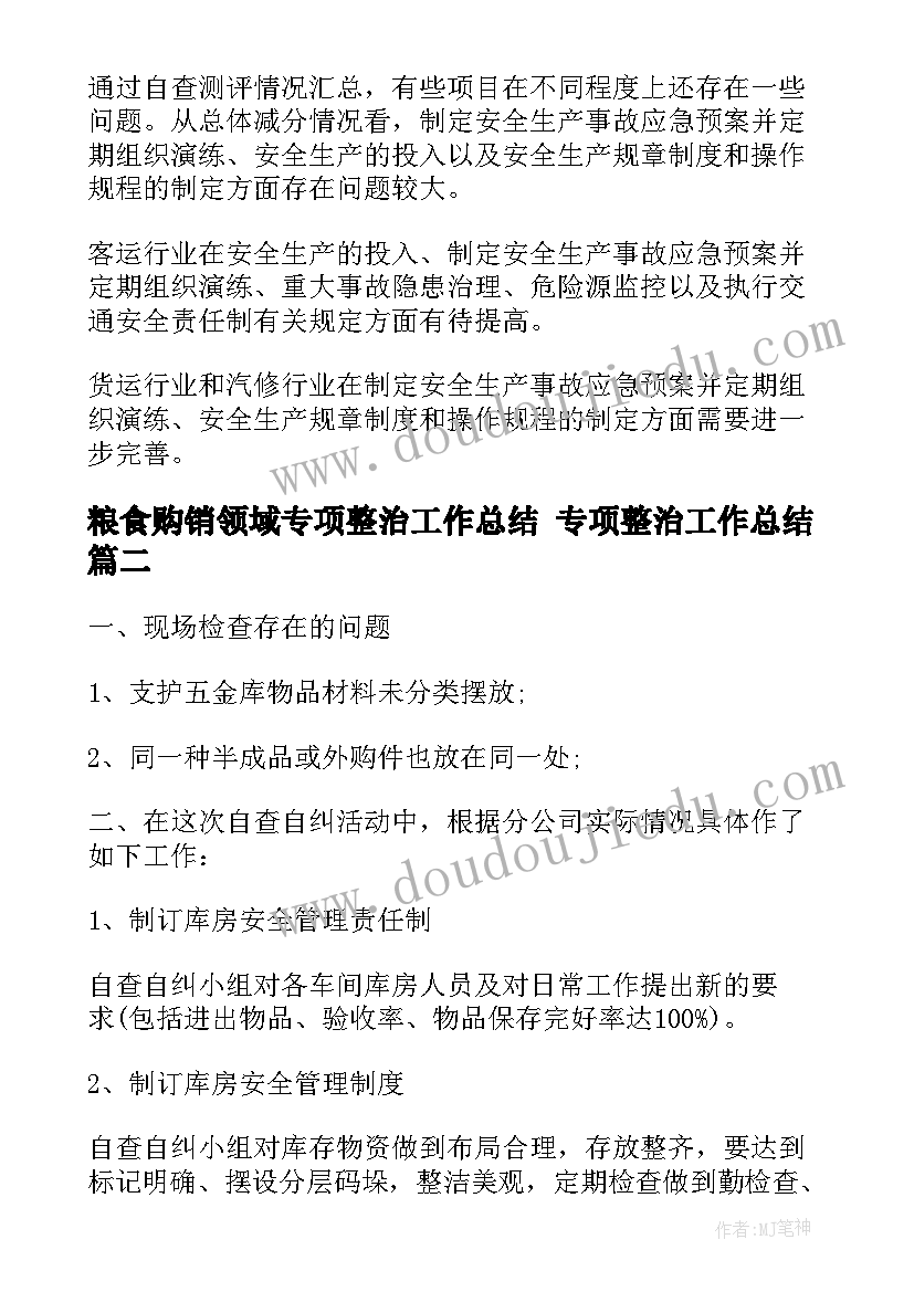 粮食购销领域专项整治工作总结 专项整治工作总结(汇总9篇)