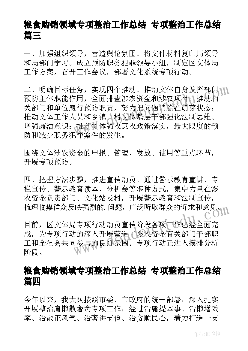 粮食购销领域专项整治工作总结 专项整治工作总结(汇总9篇)