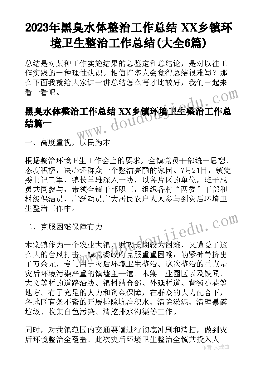 2023年黑臭水体整治工作总结 XX乡镇环境卫生整治工作总结(大全6篇)