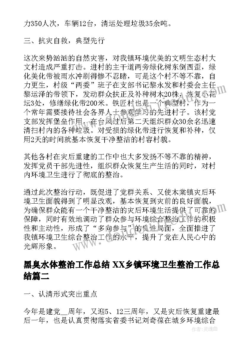 2023年黑臭水体整治工作总结 XX乡镇环境卫生整治工作总结(大全6篇)