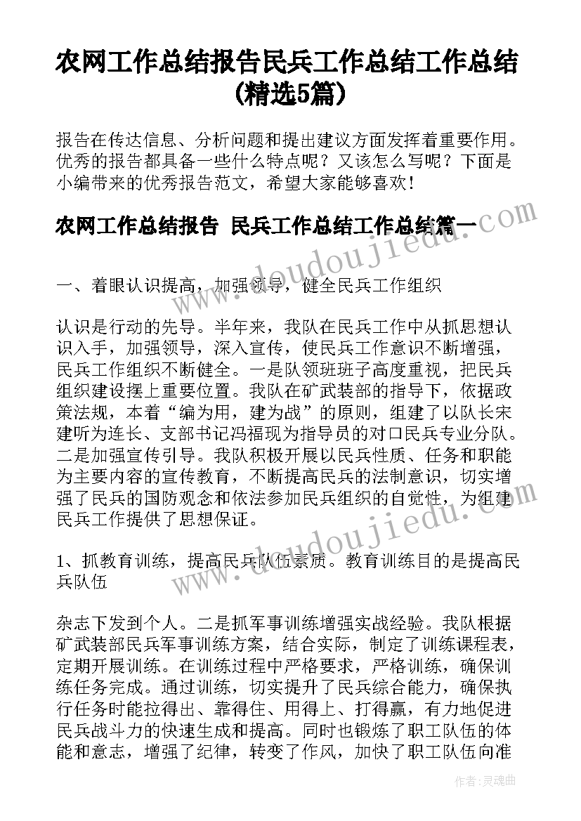 农网工作总结报告 民兵工作总结工作总结(精选5篇)