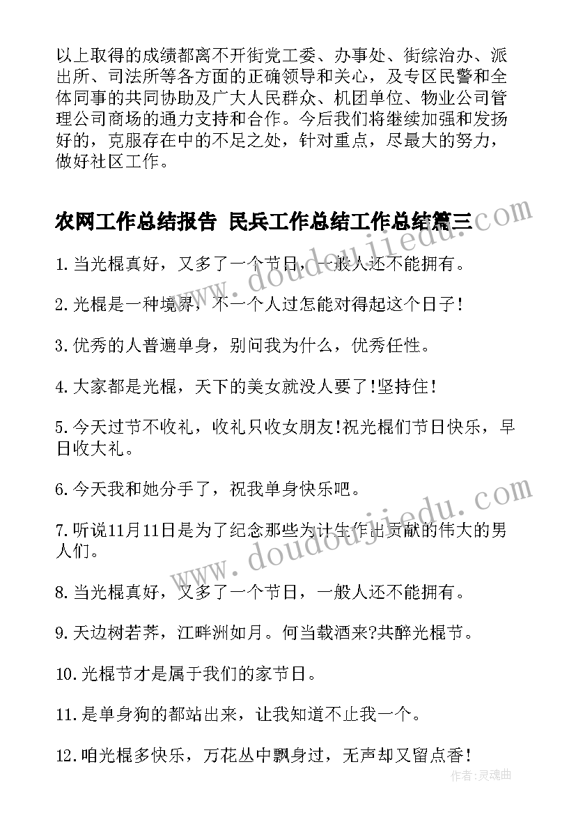 农网工作总结报告 民兵工作总结工作总结(精选5篇)