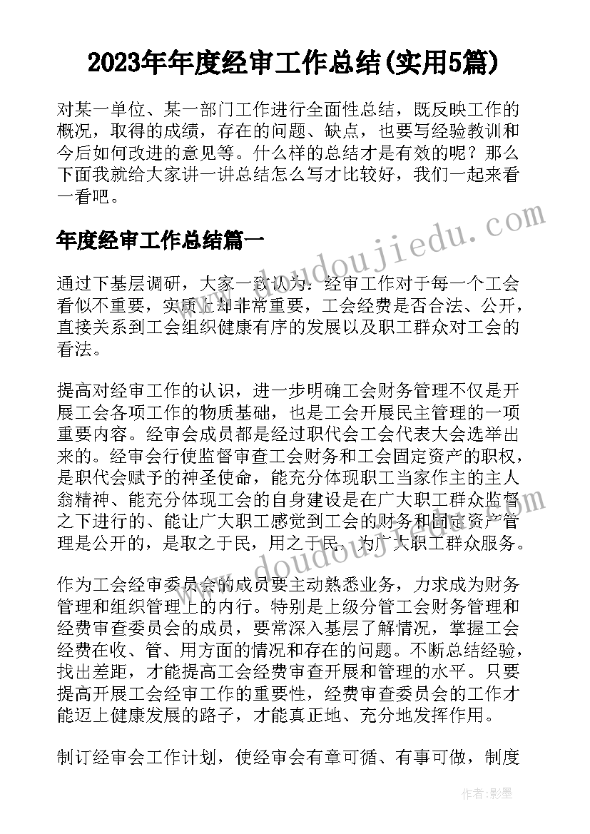 2023年年度经审工作总结(实用5篇)