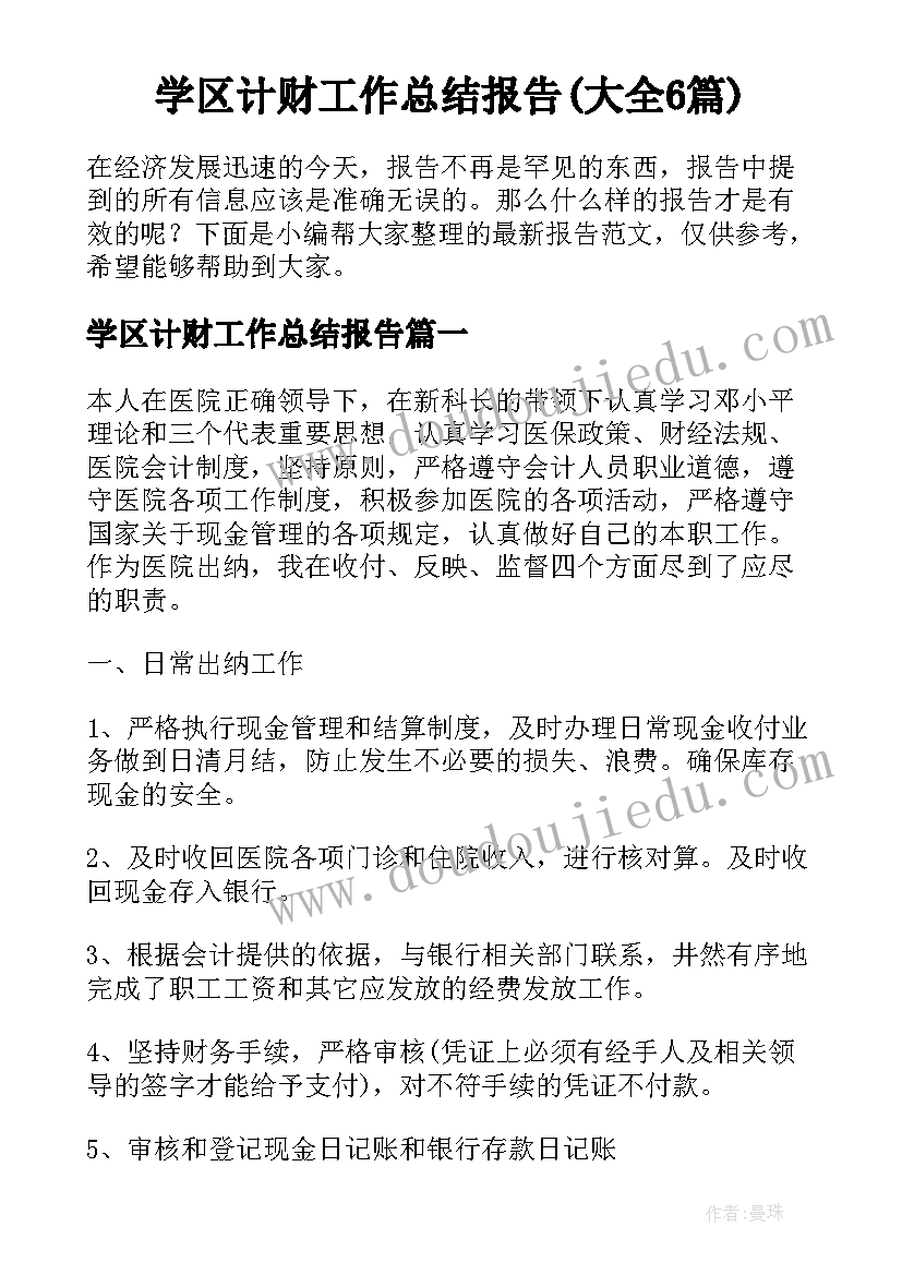 学区计财工作总结报告(大全6篇)