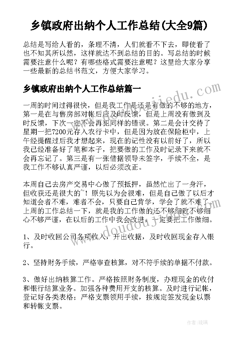 乡镇政府出纳个人工作总结(大全9篇)