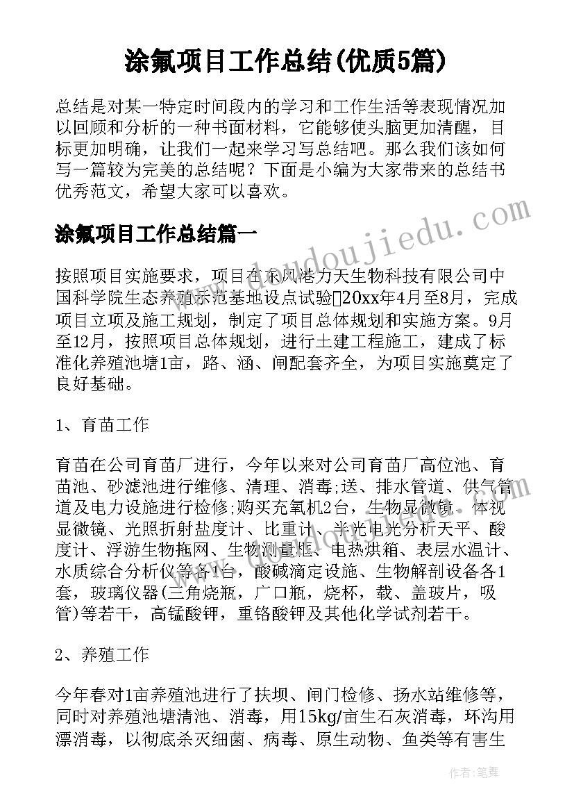 涂氟项目工作总结(优质5篇)