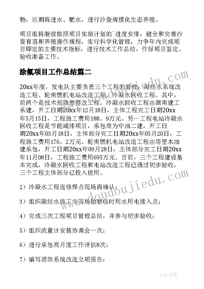 涂氟项目工作总结(优质5篇)