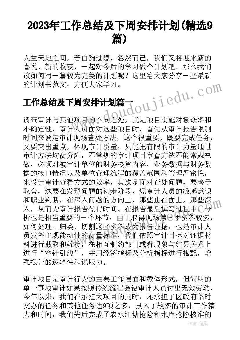 2023年工作总结及下周安排计划(精选9篇)