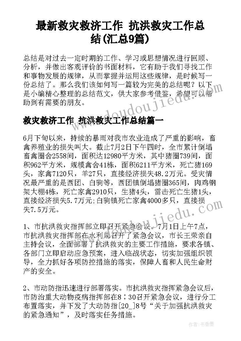 最新救灾救济工作 抗洪救灾工作总结(汇总9篇)