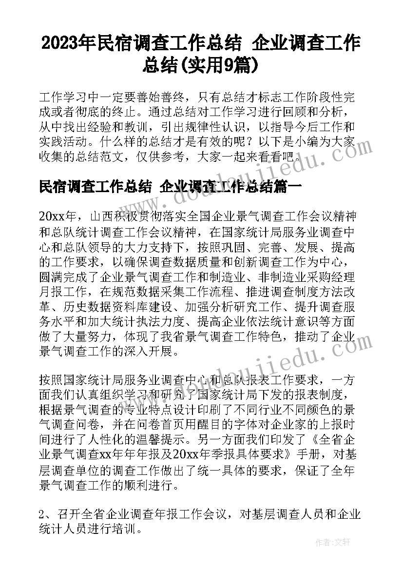 2023年民宿调查工作总结 企业调查工作总结(实用9篇)