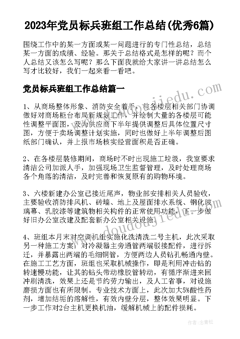 2023年党员标兵班组工作总结(优秀6篇)