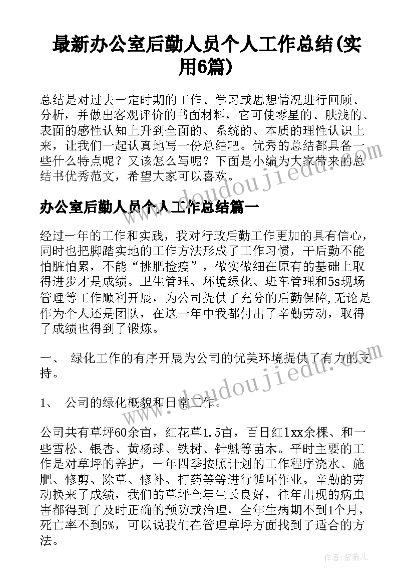 最新办公室后勤人员个人工作总结(实用6篇)