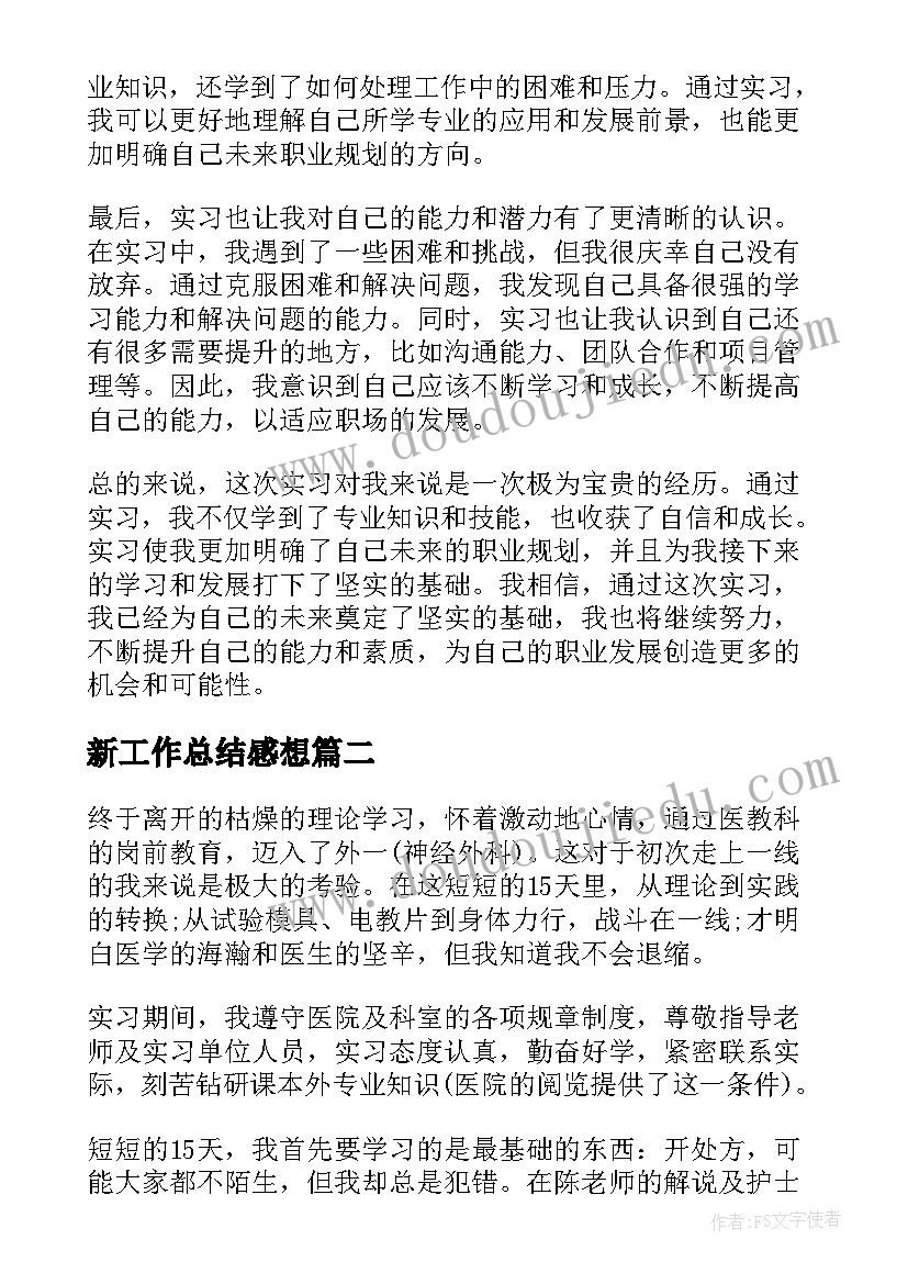 2023年新工作总结感想(精选10篇)