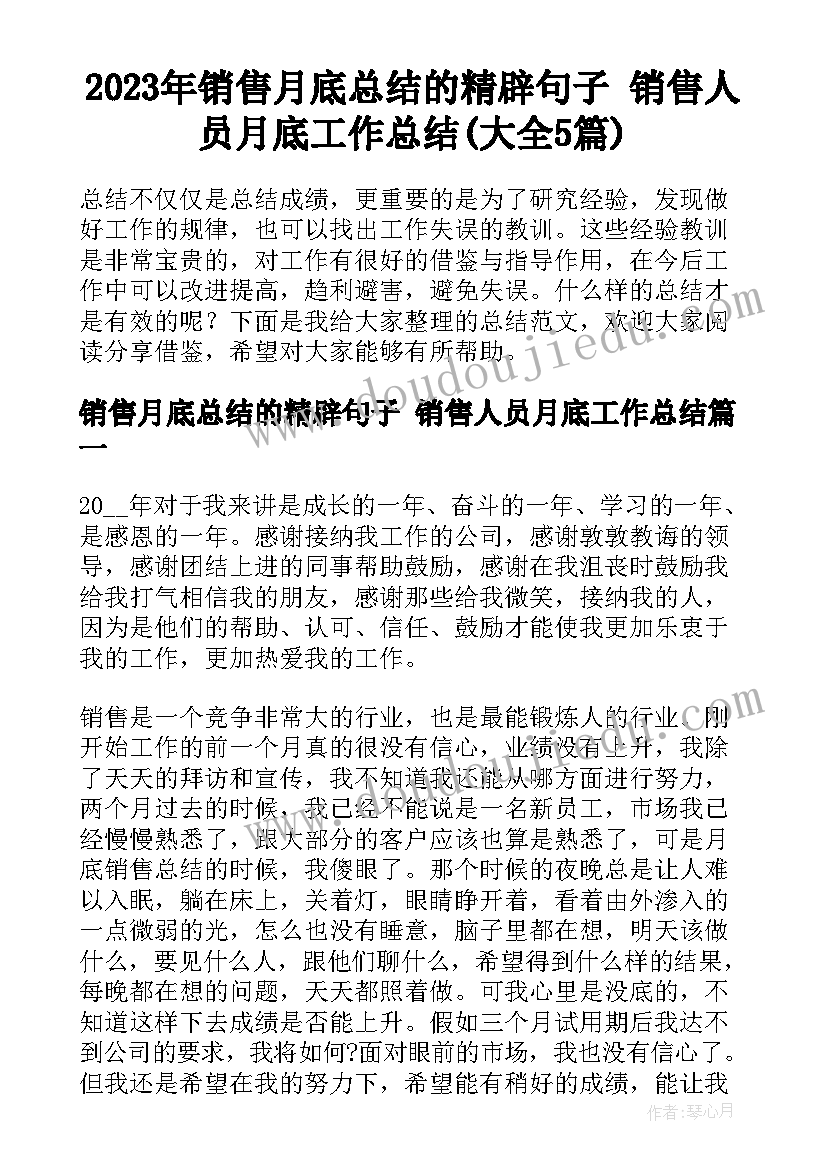 2023年销售月底总结的精辟句子 销售人员月底工作总结(大全5篇)