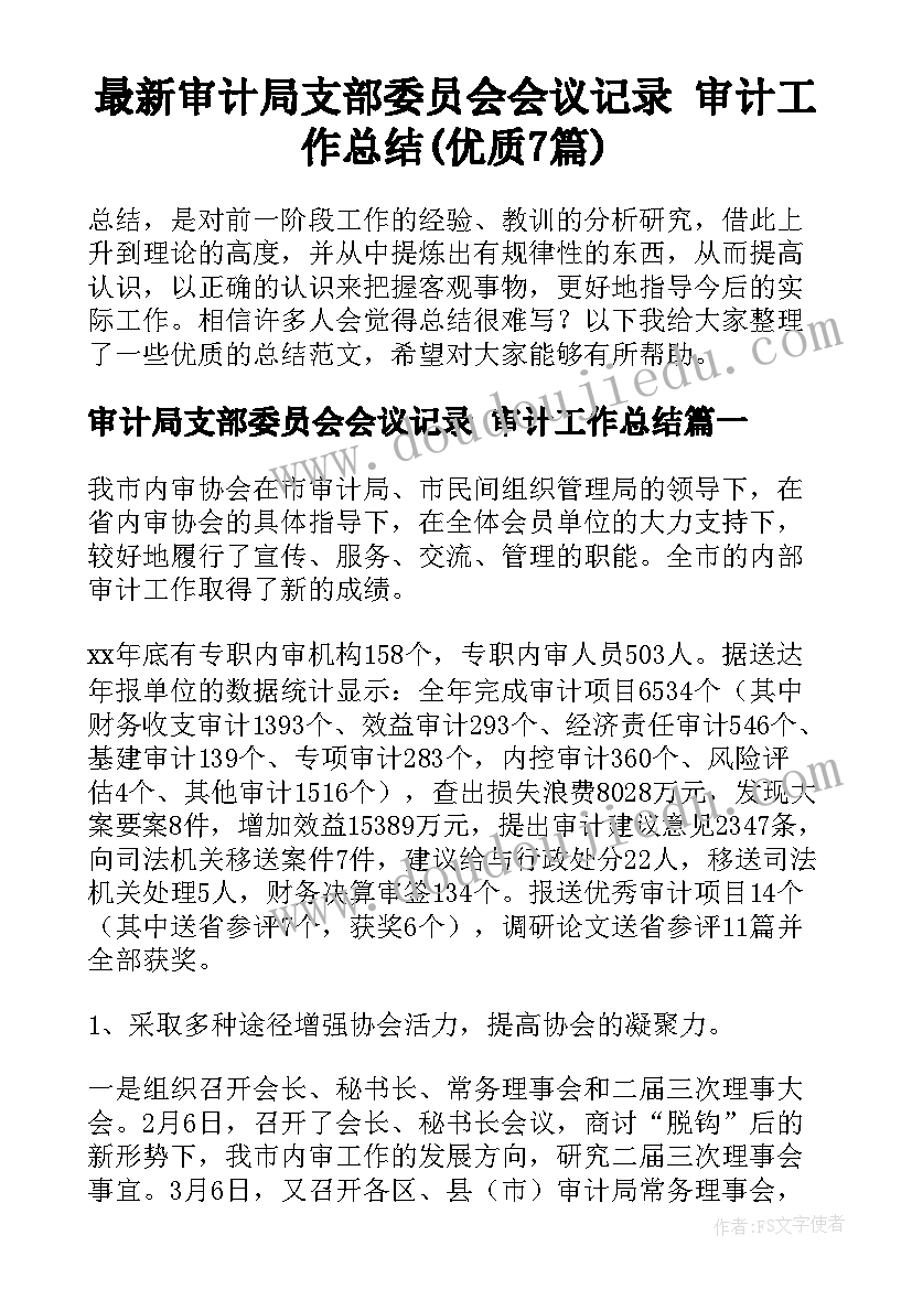 最新审计局支部委员会会议记录 审计工作总结(优质7篇)