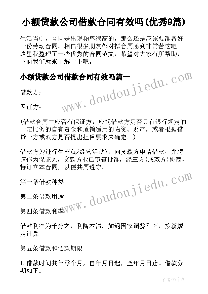 小额贷款公司借款合同有效吗(优秀9篇)