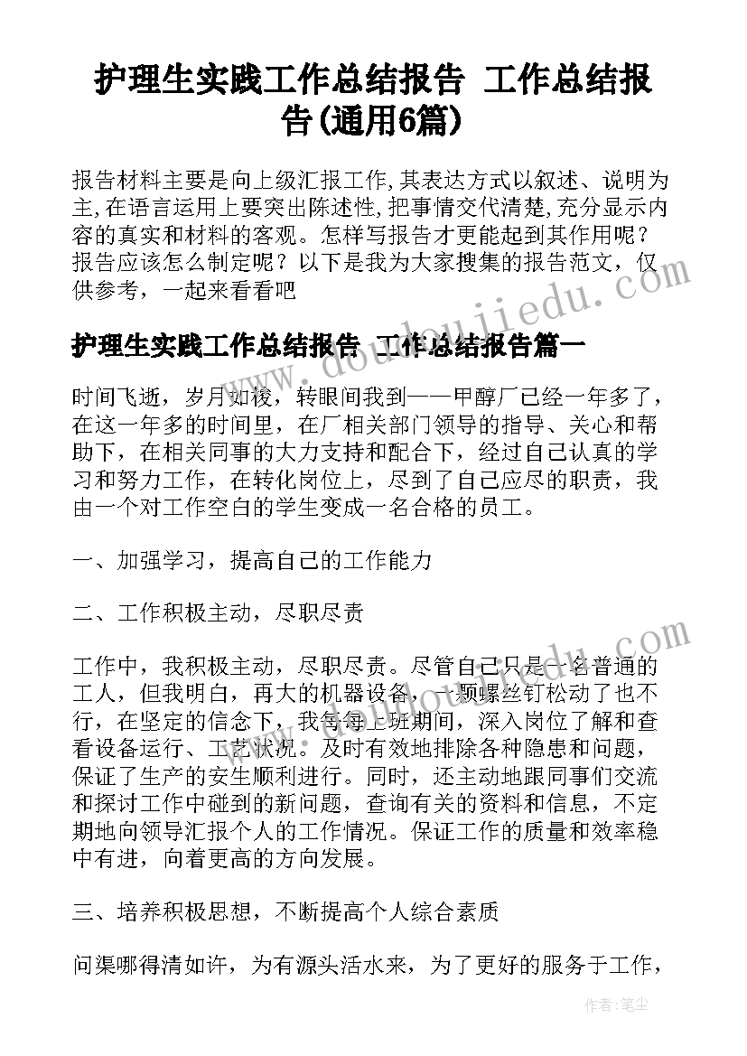 护理生实践工作总结报告 工作总结报告(通用6篇)