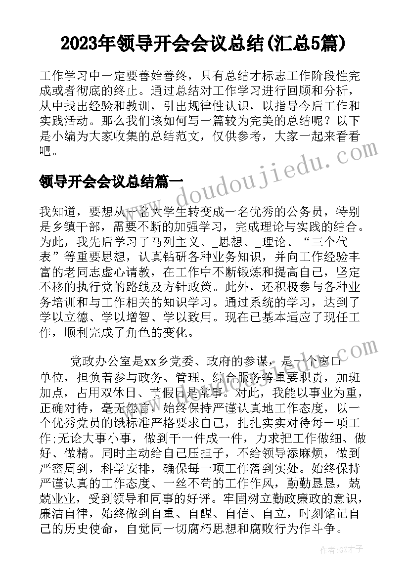 2023年领导开会会议总结(汇总5篇)