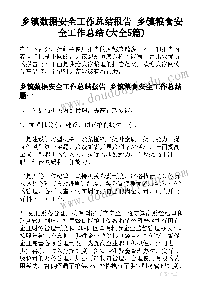 乡镇数据安全工作总结报告 乡镇粮食安全工作总结(大全5篇)