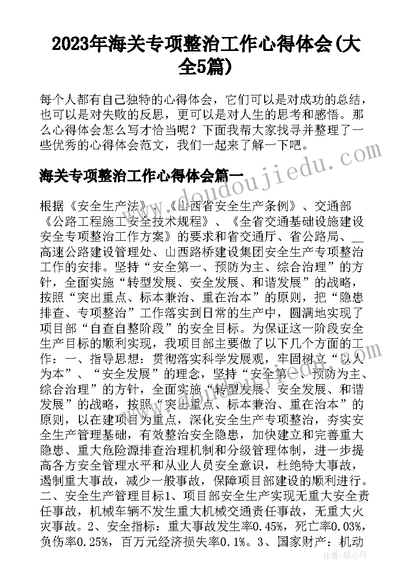 2023年海关专项整治工作心得体会(大全5篇)