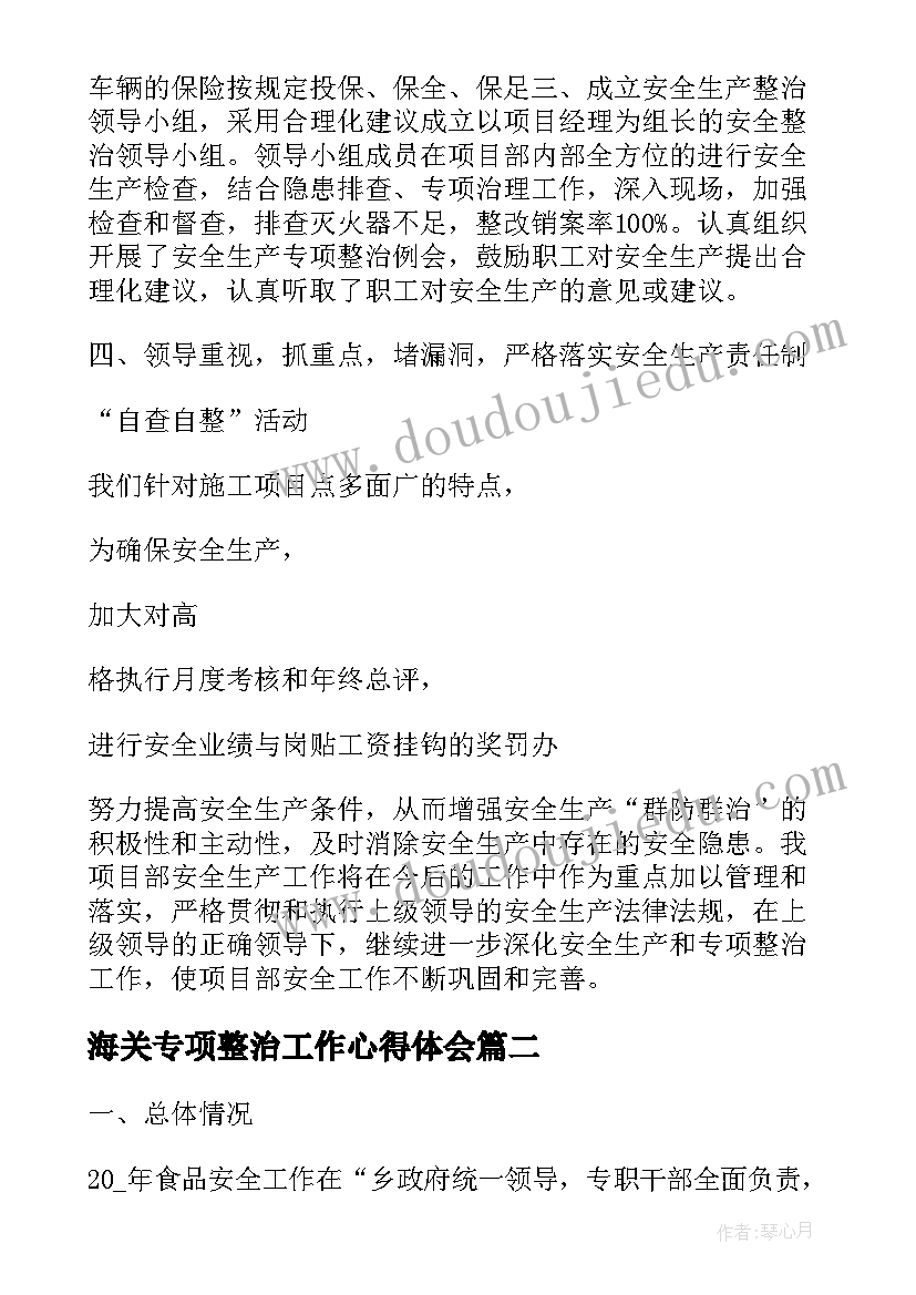 2023年海关专项整治工作心得体会(大全5篇)