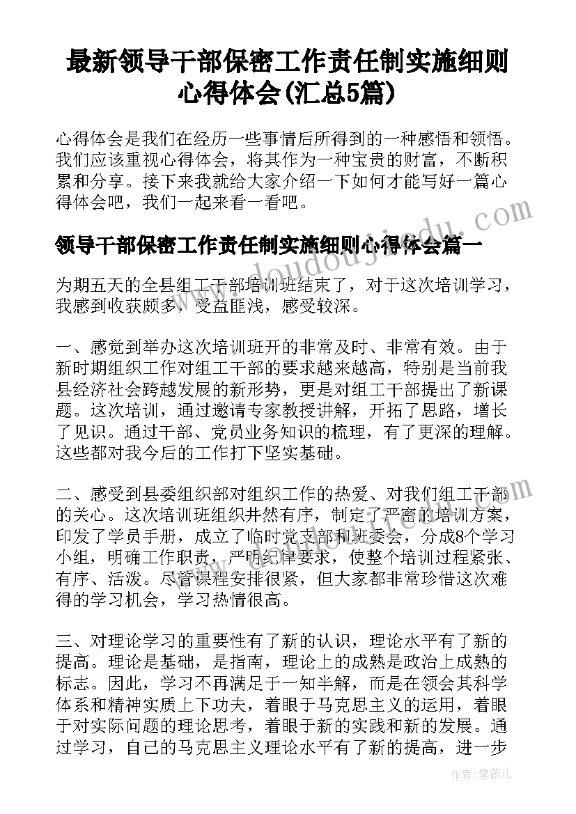 最新领导干部保密工作责任制实施细则心得体会(汇总5篇)