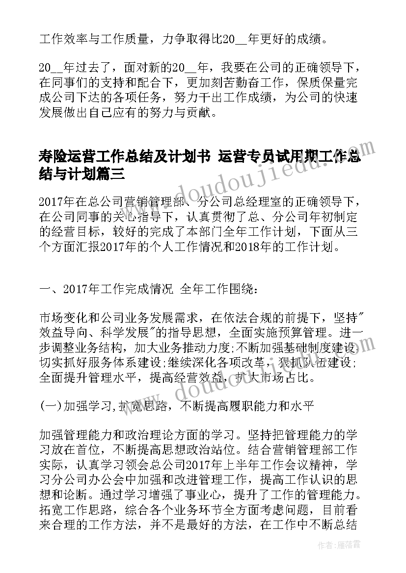 2023年寿险运营工作总结及计划书 运营专员试用期工作总结与计划(汇总5篇)