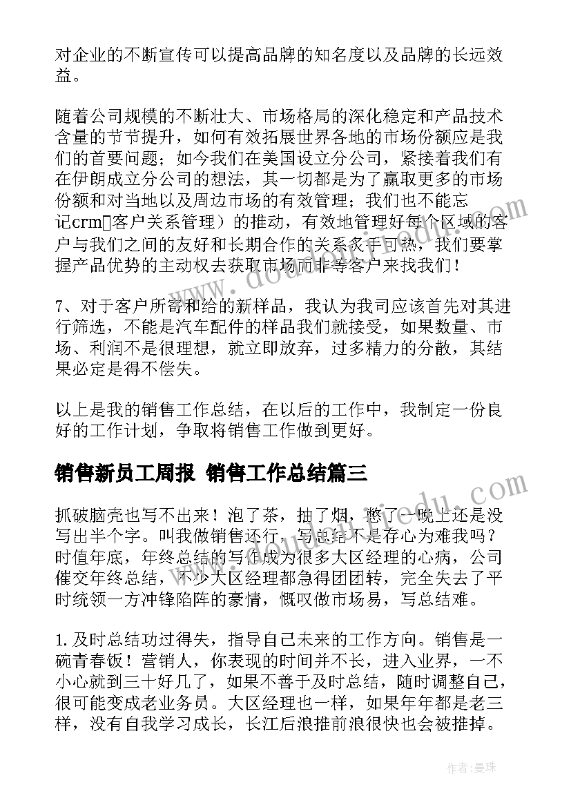 2023年销售新员工周报 销售工作总结(大全8篇)