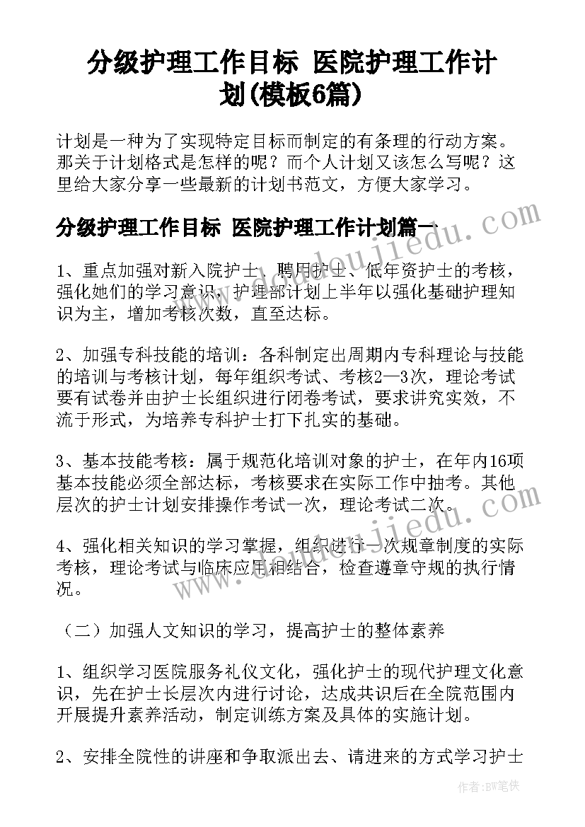 分级护理工作目标 医院护理工作计划(模板6篇)