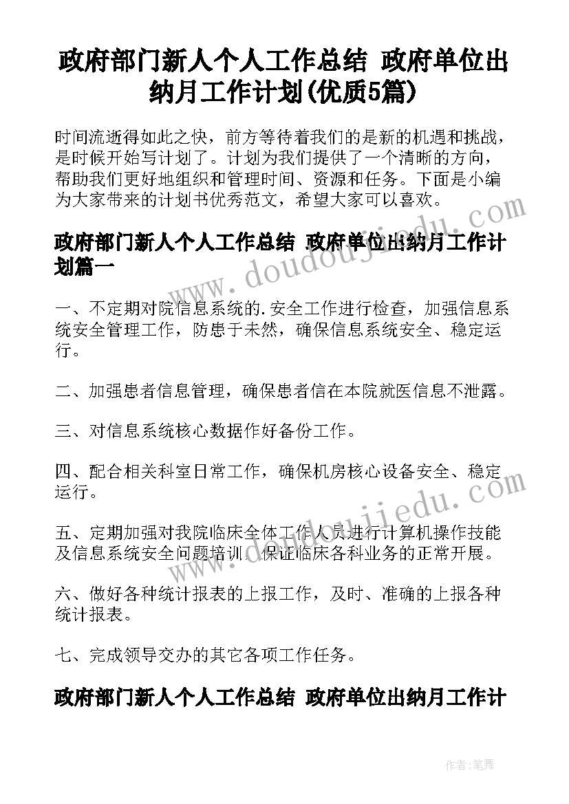 政府部门新人个人工作总结 政府单位出纳月工作计划(优质5篇)