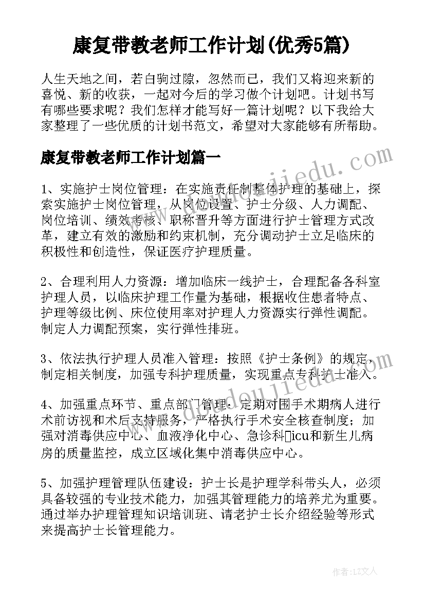 康复带教老师工作计划(优秀5篇)