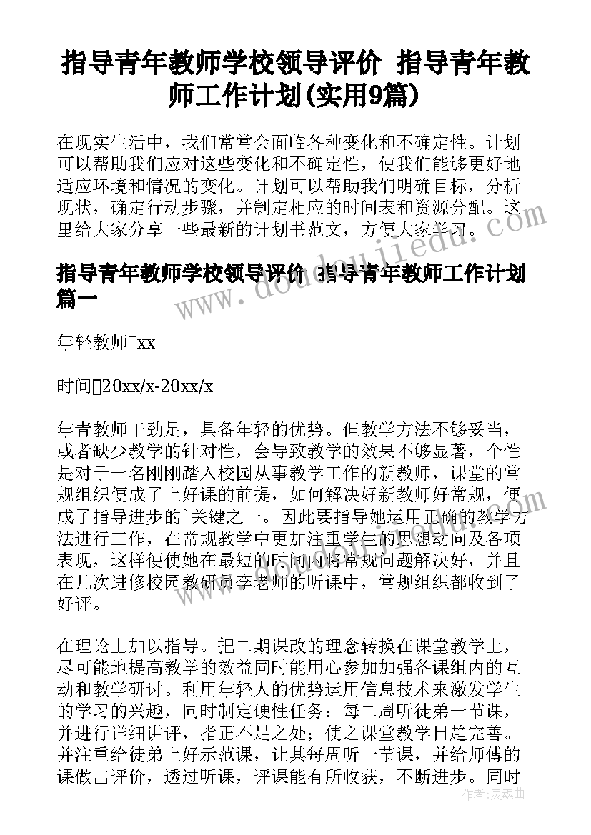 指导青年教师学校领导评价 指导青年教师工作计划(实用9篇)