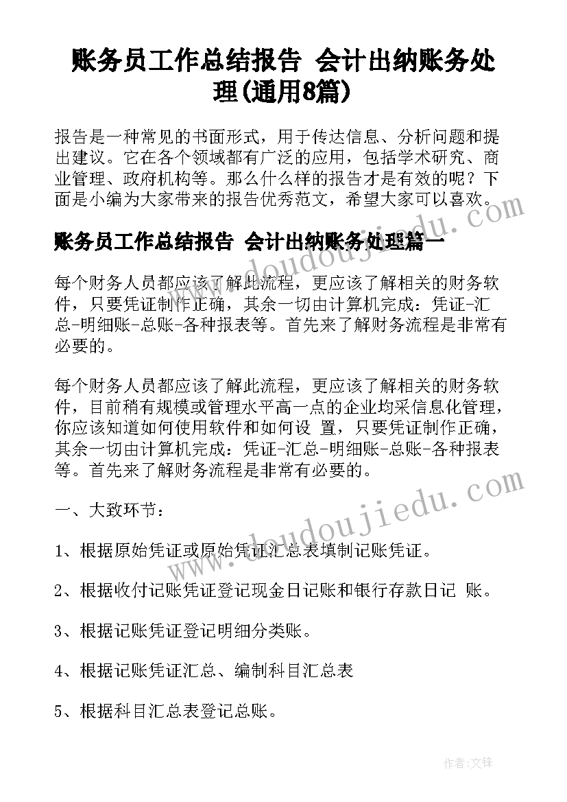 账务员工作总结报告 会计出纳账务处理(通用8篇)