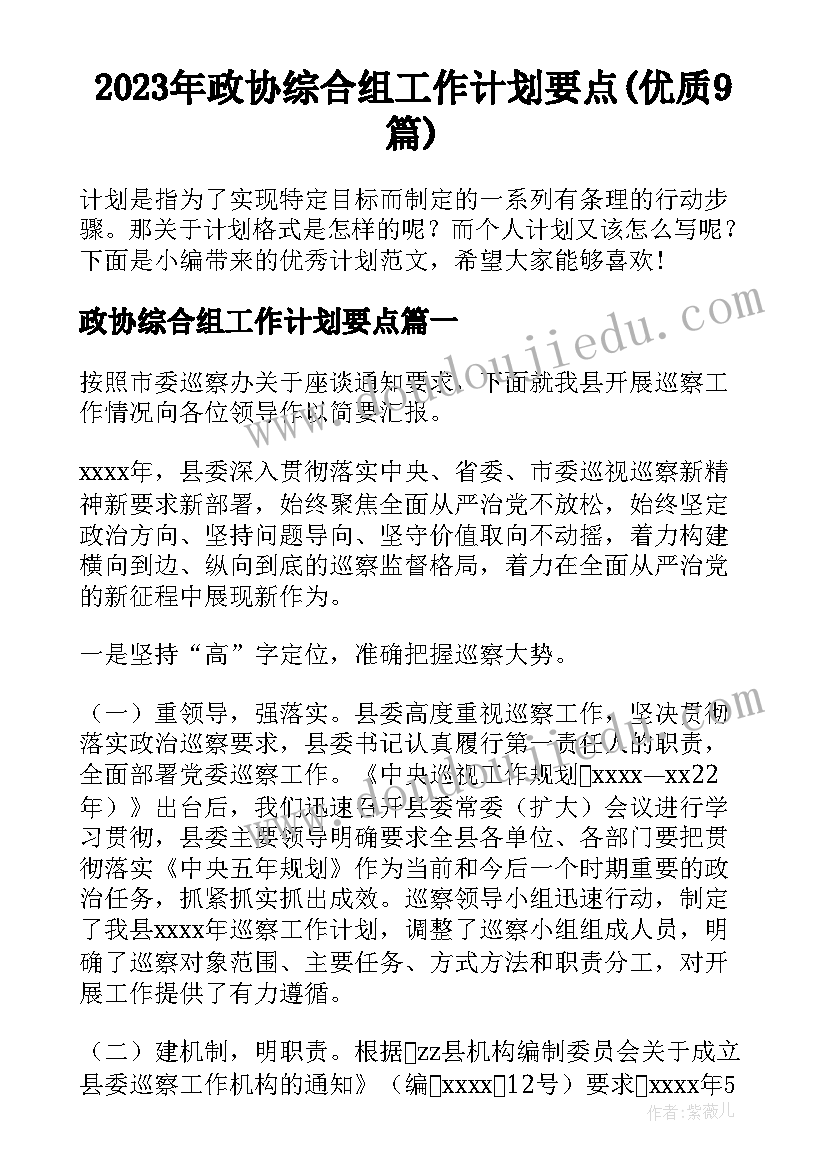 2023年政协综合组工作计划要点(优质9篇)